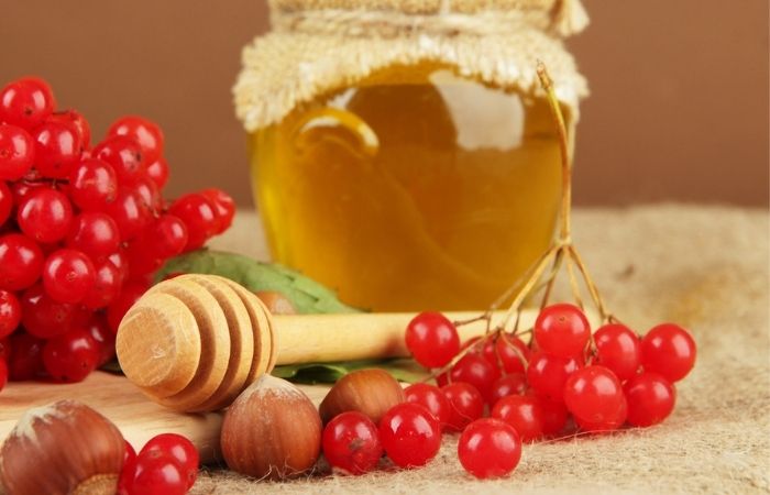 Польза и вред калины с медом