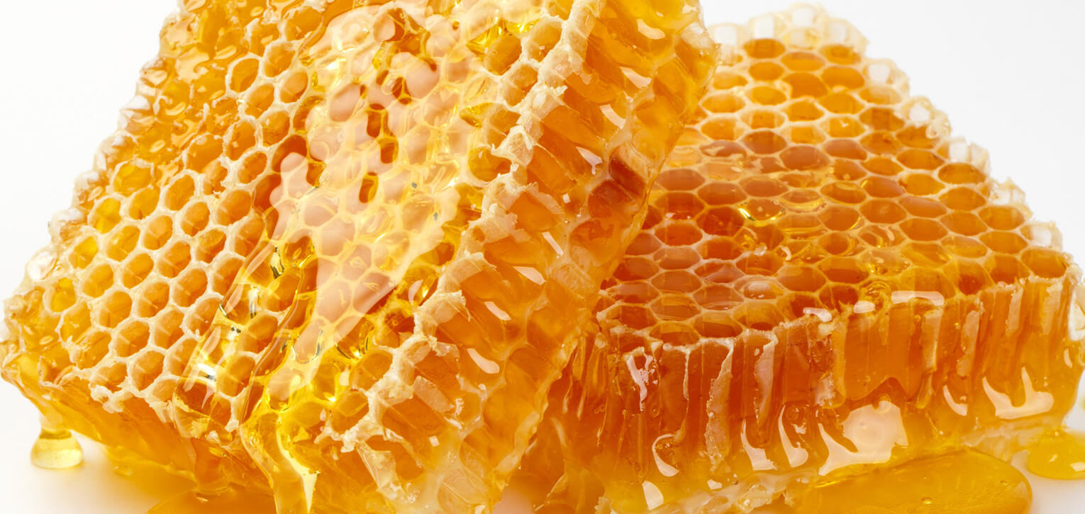Сотовый мед: чем полезен и как употреблять мед в сотах?