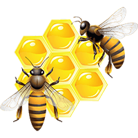 Разведение пчёл