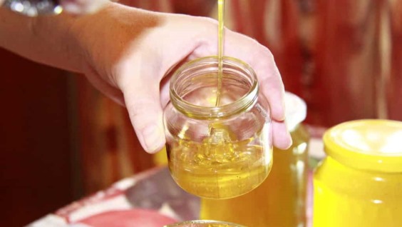 Как проверить мёд: самые эффективные способы и критерии качества