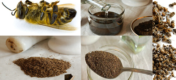 Что такое пчелиный подмор, как его хранить и использовать